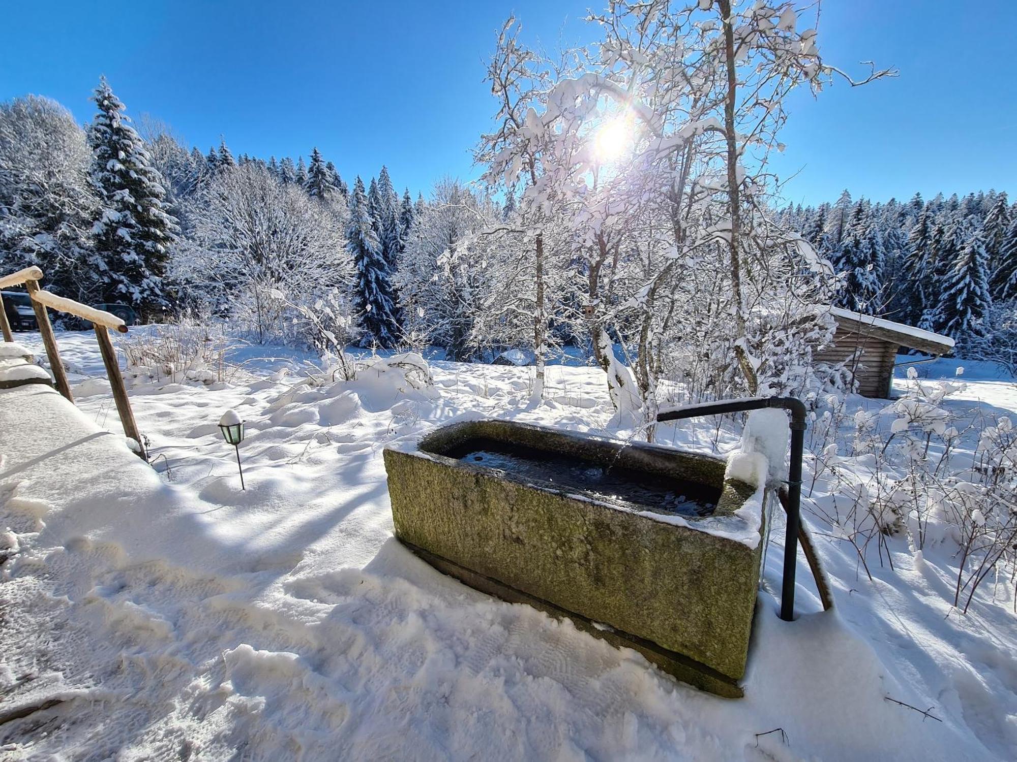 Ferienhaus Klause Neureichenau Bagian luar foto