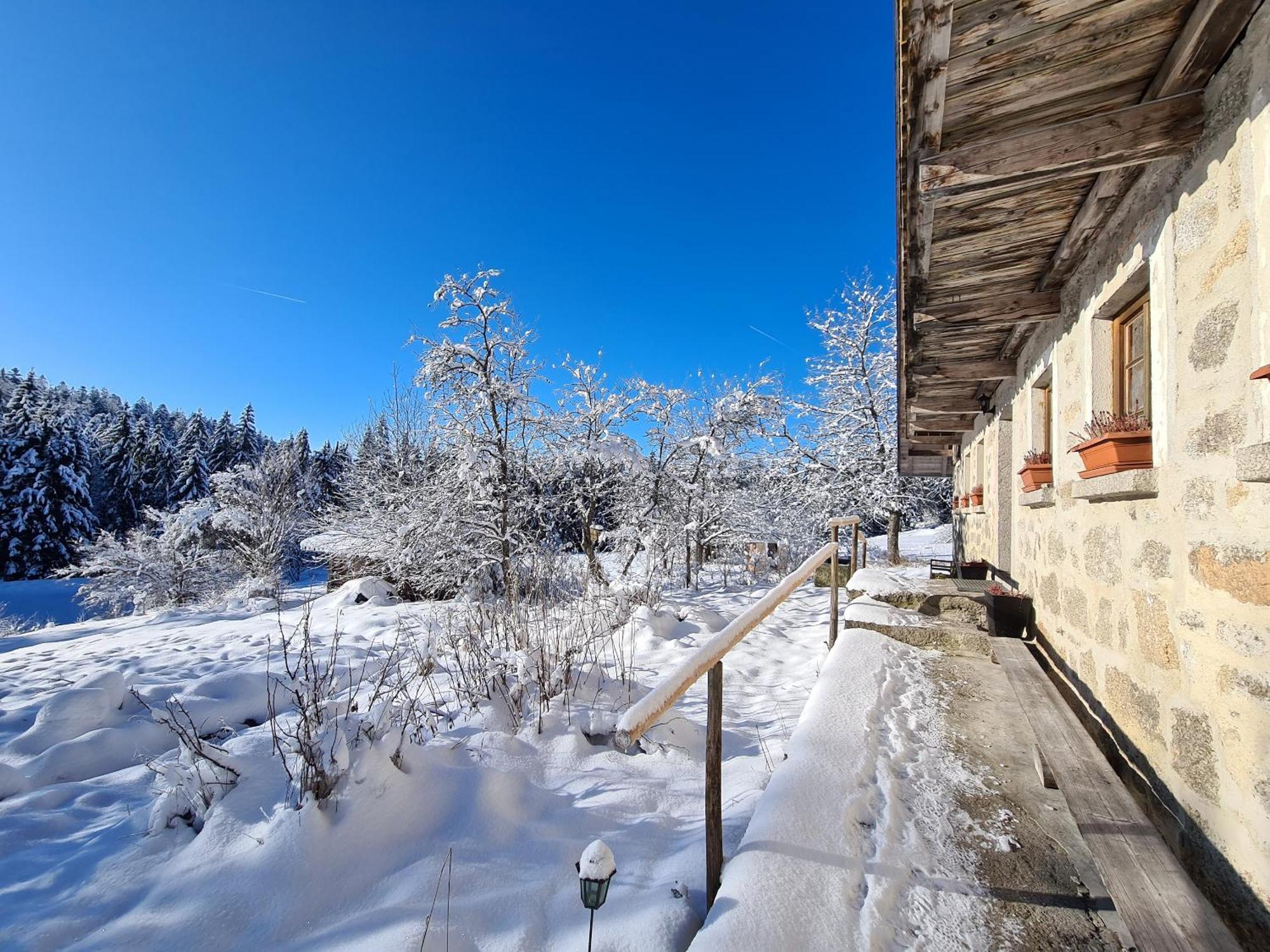 Ferienhaus Klause Neureichenau Bagian luar foto